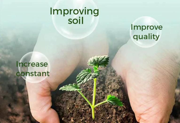 Root Boosting Powder 400 gm Pack of 2