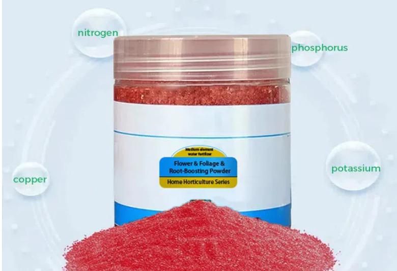 Root Boosting Powder 400 gm Pack of 2